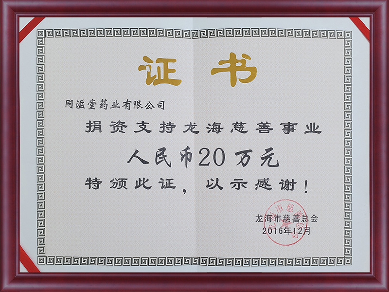 2016.12 龙海慈善事业捐款20万